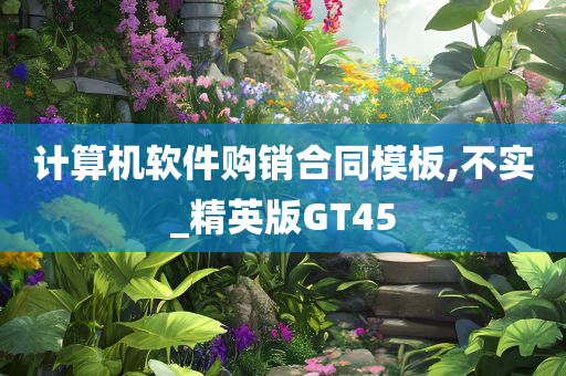 计算机软件购销合同模板,不实_精英版GT45