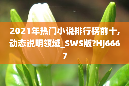 2021年热门小说排行榜前十,动态说明领域_SWS版?HJ6667