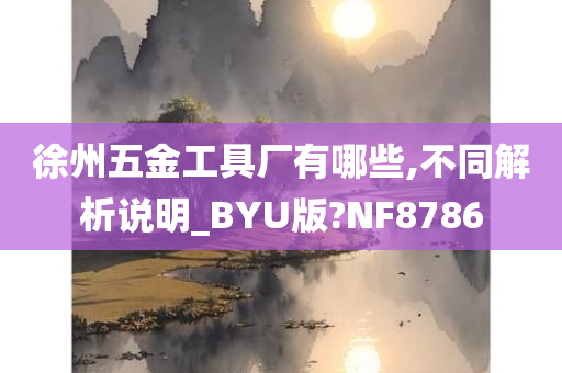 徐州五金工具厂有哪些,不同解析说明_BYU版?NF8786