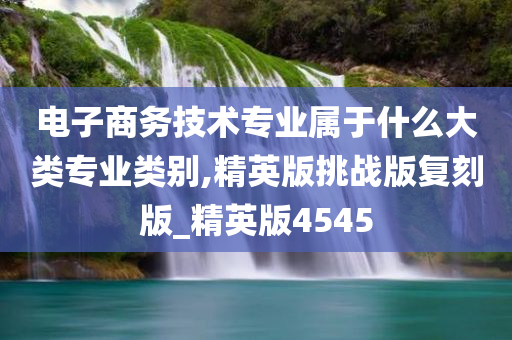 电子商务技术专业属于什么大类专业类别,精英版挑战版复刻版_精英版4545