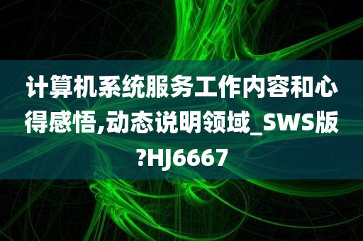 计算机系统服务工作内容和心得感悟,动态说明领域_SWS版?HJ6667