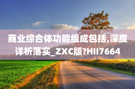 商业综合体功能组成包括,深度详析落实_ZXC版?HII7664