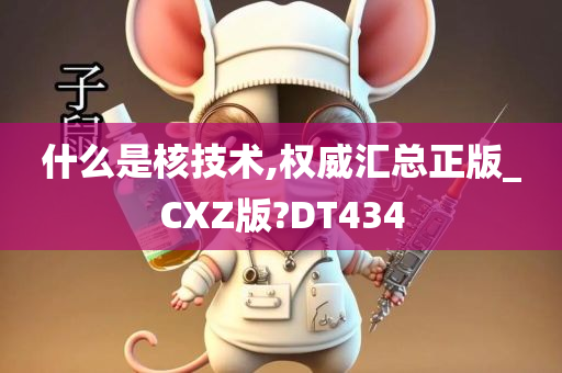 什么是核技术,权威汇总正版_CXZ版?DT434