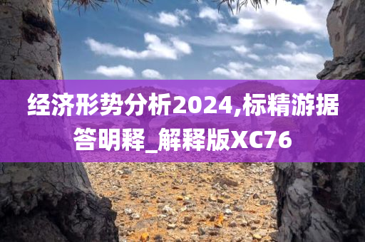 经济形势分析2024,标精游据答明释_解释版XC76