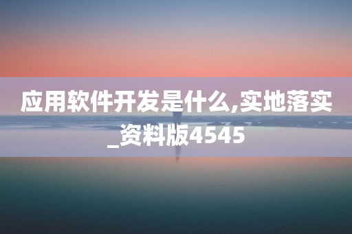 应用软件开发是什么,实地落实_资料版4545