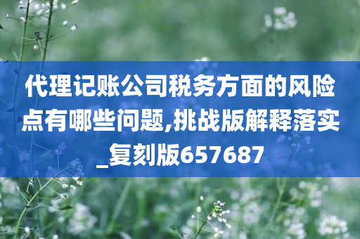 代理记账公司税务方面的风险点有哪些问题,挑战版解释落实_复刻版657687