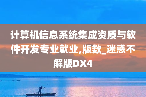 计算机信息系统集成资质与软件开发专业就业,版数_迷惑不解版DX4