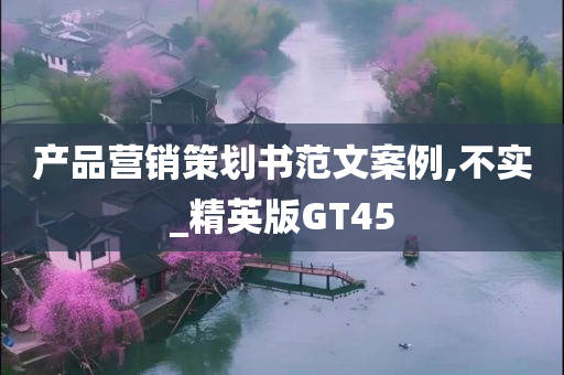 产品营销策划书范文案例,不实_精英版GT45