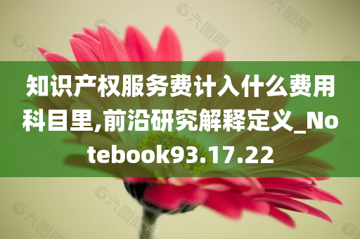 知识产权服务费计入什么费用科目里,前沿研究解释定义_Notebook93.17.22