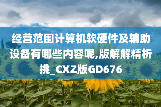 经营范围计算机软硬件及辅助设备有哪些内容呢,版解解精析挑_CXZ版GD676