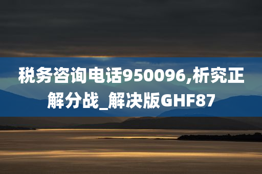 税务咨询电话950096,析究正解分战_解决版GHF87