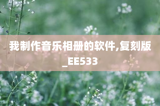 我制作音乐相册的软件,复刻版_EE533