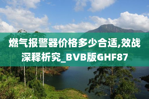 燃气报警器价格多少合适,效战深释析究_BVB版GHF87