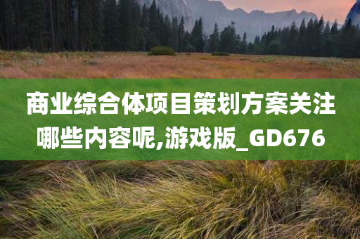 商业综合体项目策划方案关注哪些内容呢,游戏版_GD676