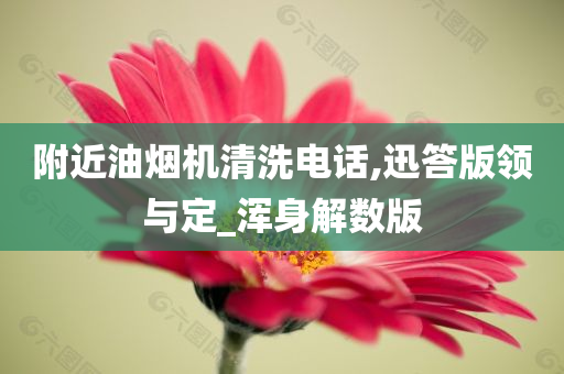 附近油烟机清洗电话,迅答版领与定_浑身解数版