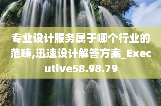 专业设计服务属于哪个行业的范畴,迅速设计解答方案_Executive58.98.79