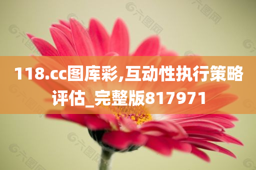 118.cc图库彩,互动性执行策略评估_完整版817971