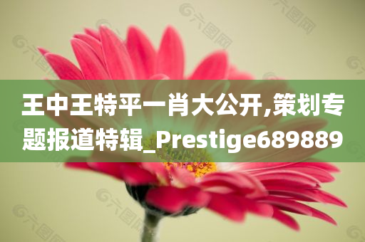 王中王特平一肖大公开,策划专题报道特辑_Prestige689889