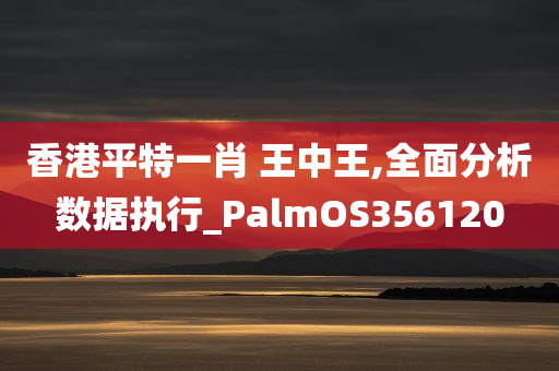 香港平特一肖 王中王,全面分析数据执行_PalmOS356120