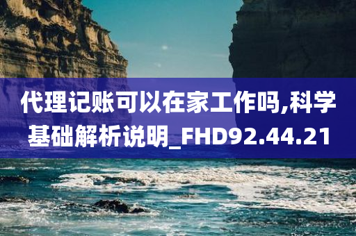 代理记账可以在家工作吗,科学基础解析说明_FHD92.44.21