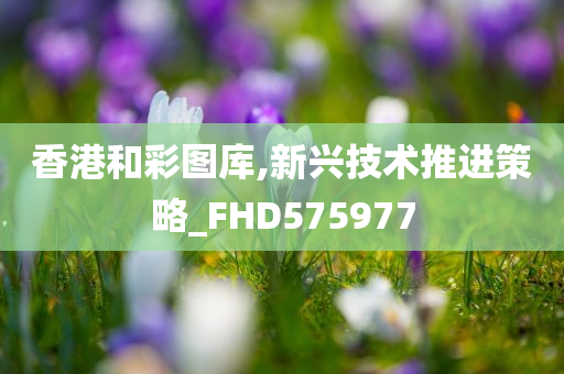 香港和彩图库,新兴技术推进策略_FHD575977