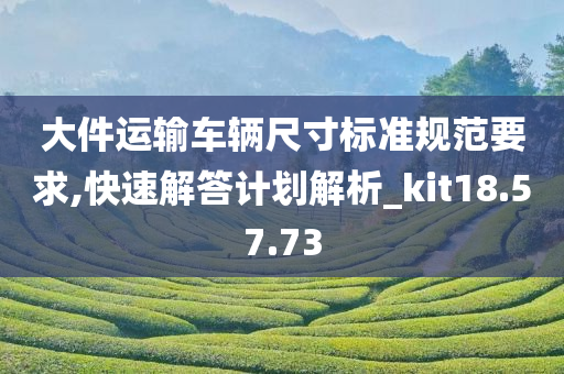 大件运输车辆尺寸标准规范要求,快速解答计划解析_kit18.57.73