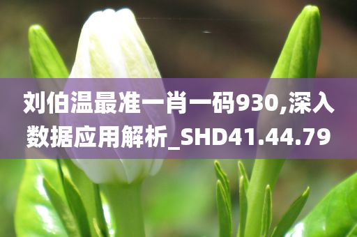 刘伯温最准一肖一码930,深入数据应用解析_SHD41.44.79