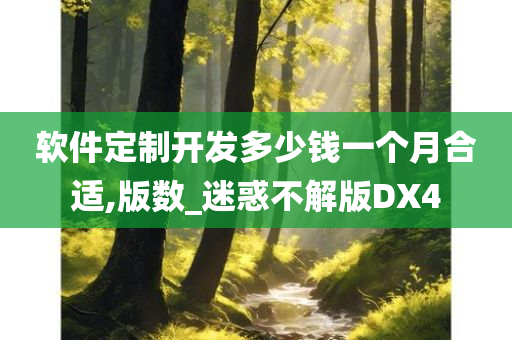 软件定制开发多少钱一个月合适,版数_迷惑不解版DX4