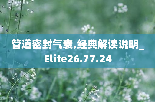 管道密封气囊,经典解读说明_Elite26.77.24