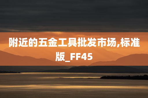 附近的五金工具批发市场,标准版_FF45