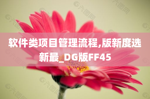 软件类项目管理流程,版新度选新最_DG版FF45