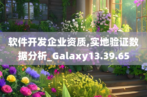 软件开发企业资质,实地验证数据分析_Galaxy13.39.65