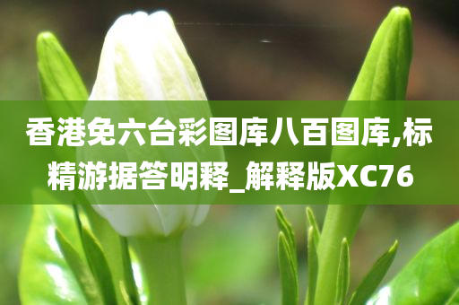 香港免六台彩图库八百图库,标精游据答明释_解释版XC76