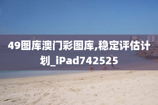 49图库澳门彩图库,稳定评估计划_iPad742525