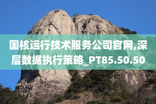 国核运行技术服务公司官网,深层数据执行策略_PT85.50.50