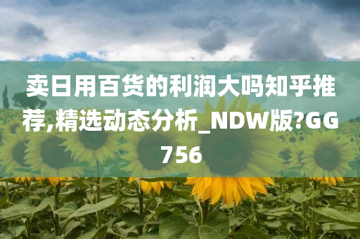 卖日用百货的利润大吗知乎推荐,精选动态分析_NDW版?GG756