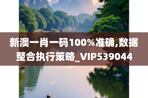 新澳一肖一码100%准确,数据整合执行策略_VIP539044