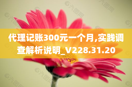 代理记账300元一个月,实践调查解析说明_V228.31.20