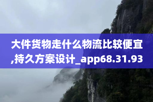 大件货物走什么物流比较便宜,持久方案设计_app68.31.93