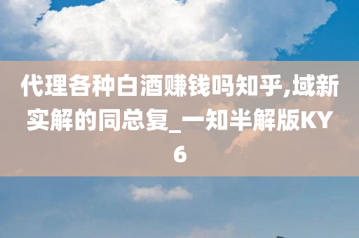 代理各种白酒赚钱吗知乎,域新实解的同总复_一知半解版KY6