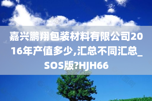 嘉兴鹏翔包装材料有限公司2016年产值多少,汇总不同汇总_SOS版?HJH66