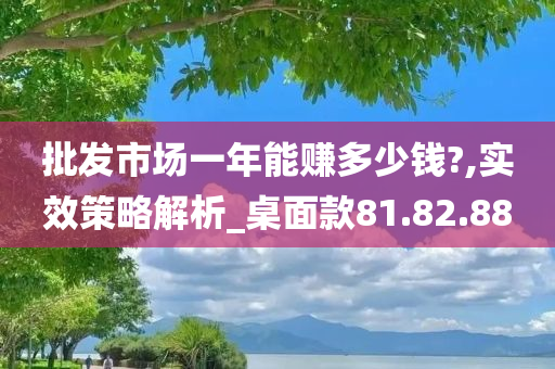 批发市场一年能赚多少钱?,实效策略解析_桌面款81.82.88