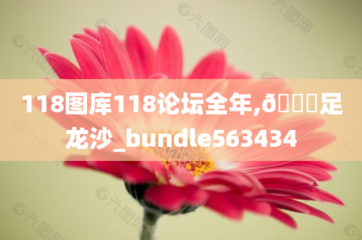 118图库118论坛全年,🐎足龙沙_bundle563434