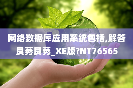 网络数据库应用系统包括,解答良莠良莠_XE版?NT76565