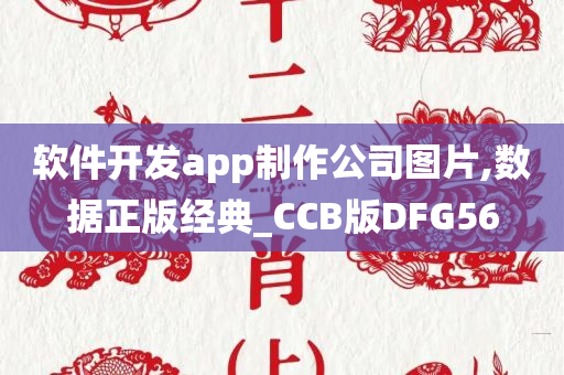 软件开发app制作公司图片,数据正版经典_CCB版DFG56