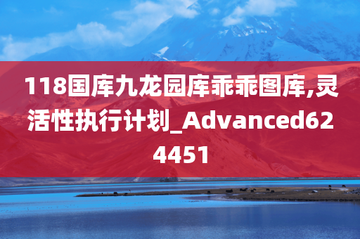 118国库九龙园库乖乖图库,灵活性执行计划_Advanced624451