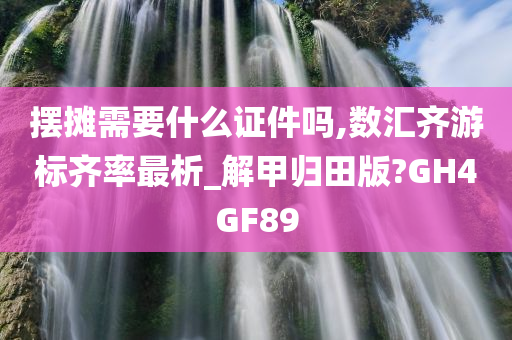 摆摊需要什么证件吗,数汇齐游标齐率最析_解甲归田版?GH4GF89