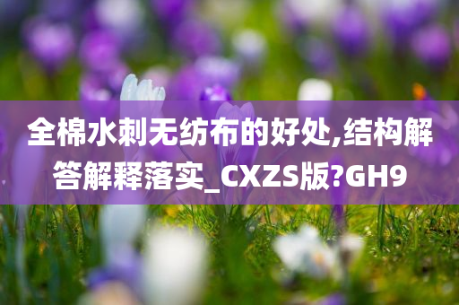 全棉水刺无纺布的好处,结构解答解释落实_CXZS版?GH9