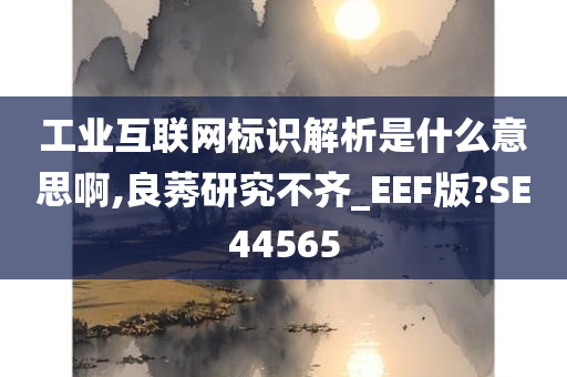 工业互联网标识解析是什么意思啊,良莠研究不齐_EEF版?SE44565