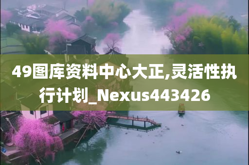 49图库资料中心大正,灵活性执行计划_Nexus443426